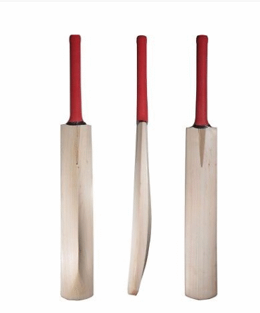 CHAMPION CLASSIC 8000 CRICKET BAT