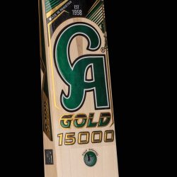 20251202173249998800345